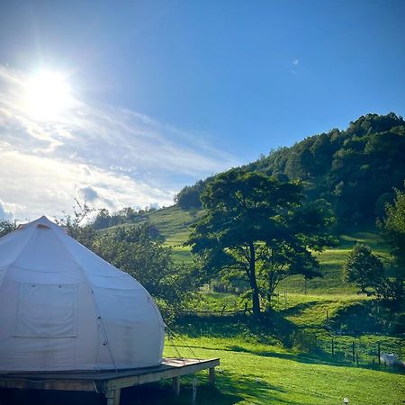 Flore'S Garden Glamping Bran  Ngoại thất bức ảnh