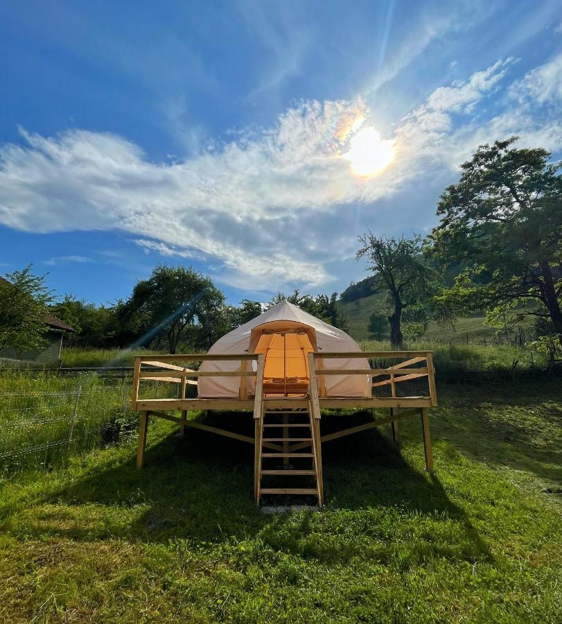 Flore'S Garden Glamping Bran  Ngoại thất bức ảnh