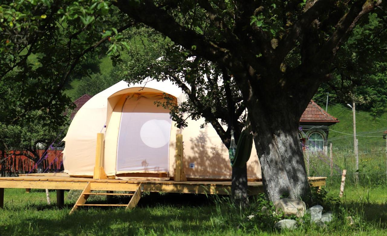 Flore'S Garden Glamping Bran  Ngoại thất bức ảnh