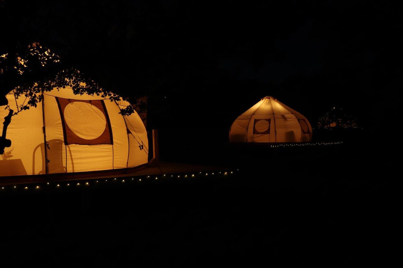 Flore'S Garden Glamping Bran  Ngoại thất bức ảnh
