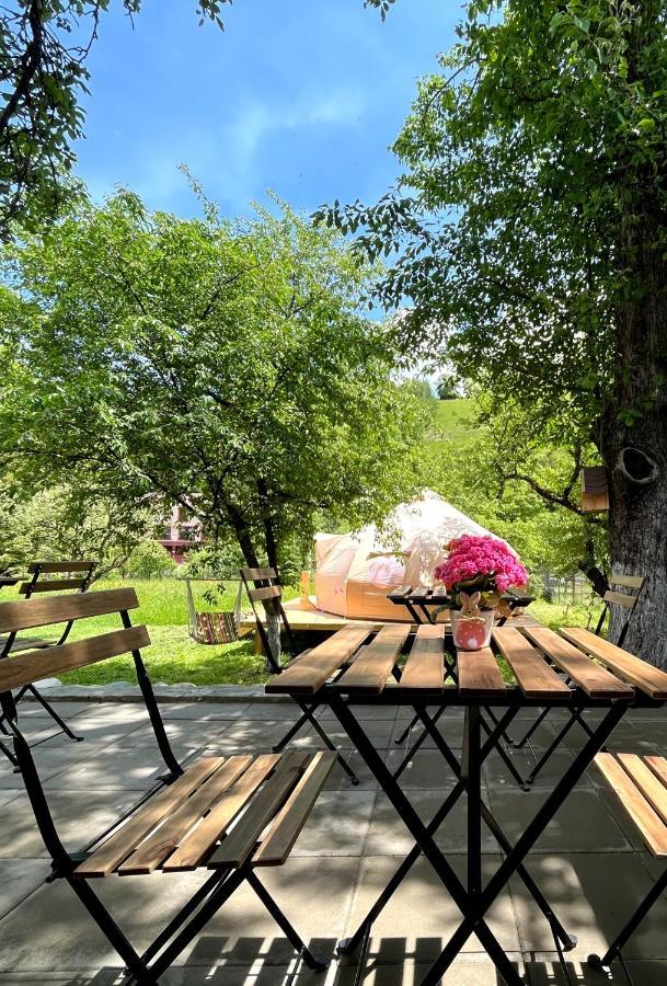 Flore'S Garden Glamping Bran  Ngoại thất bức ảnh