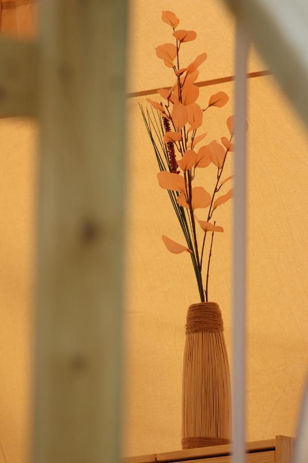 Flore'S Garden Glamping Bran  Ngoại thất bức ảnh