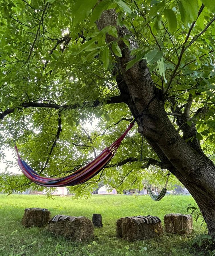 Flore'S Garden Glamping Bran  Ngoại thất bức ảnh
