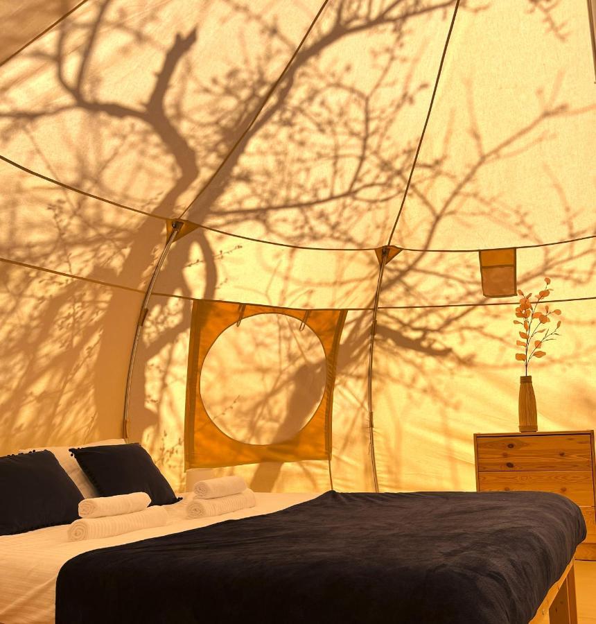 Flore'S Garden Glamping Bran  Ngoại thất bức ảnh