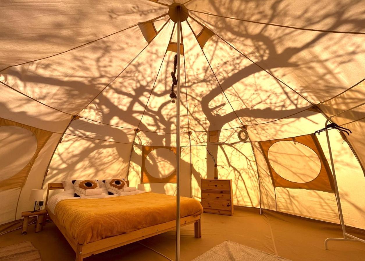 Flore'S Garden Glamping Bran  Ngoại thất bức ảnh