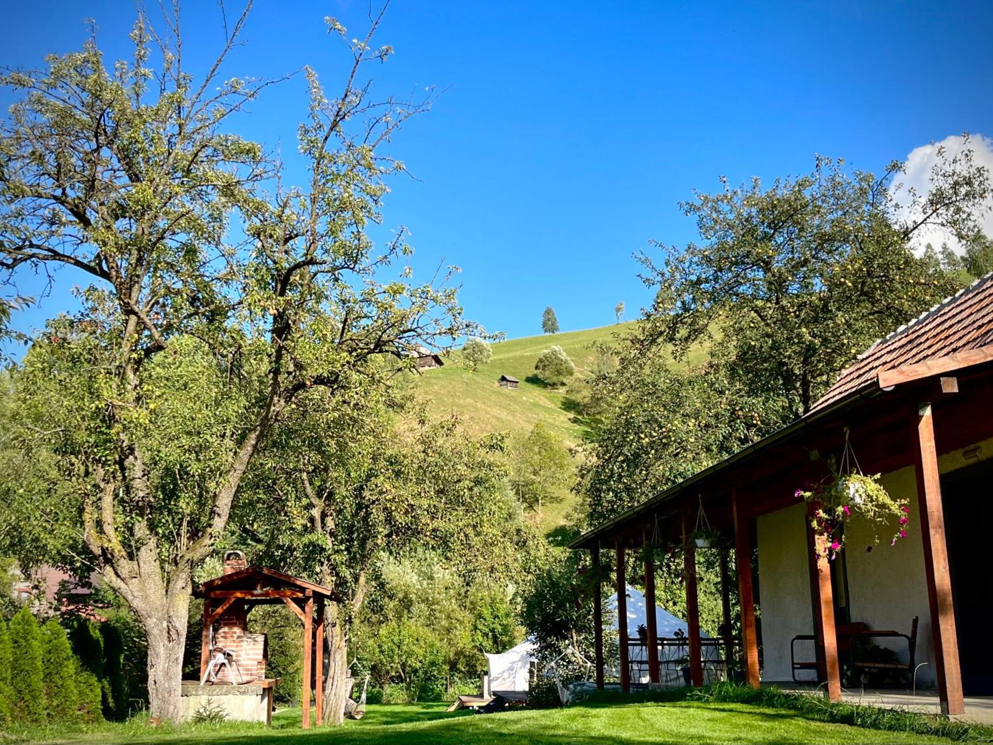 Flore'S Garden Glamping Bran  Ngoại thất bức ảnh
