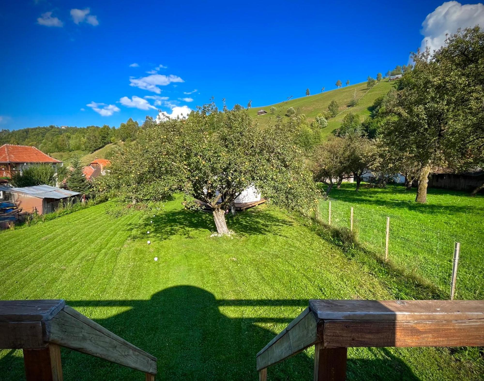Flore'S Garden Glamping Bran  Ngoại thất bức ảnh